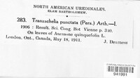 Tranzschelia discolor image